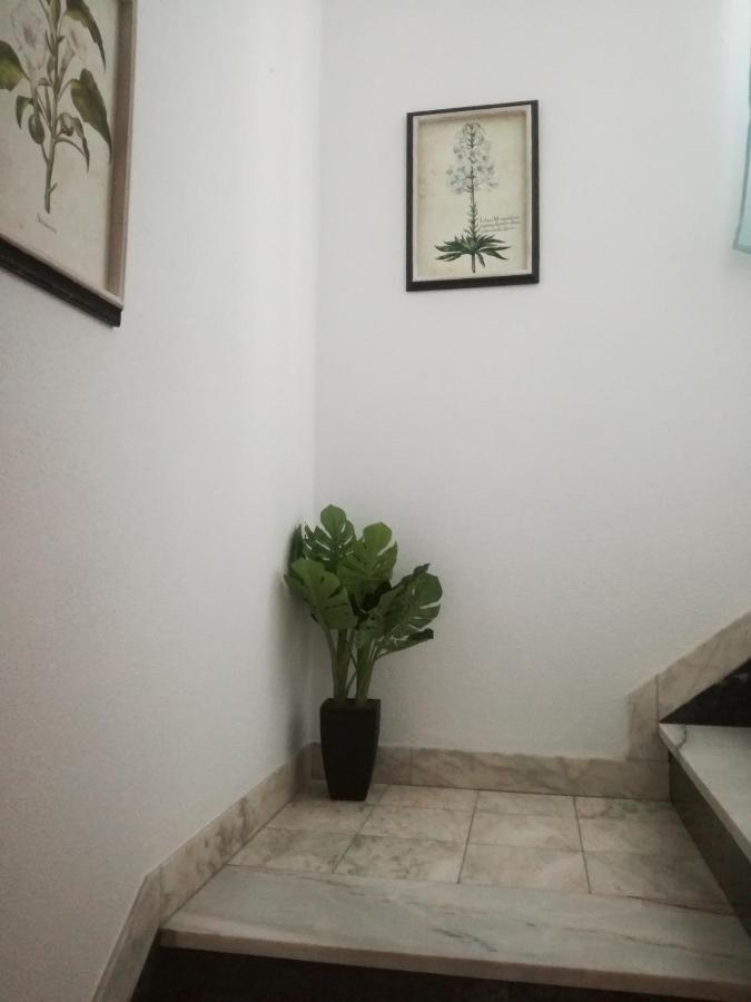 Arronches Villa エクステリア 写真